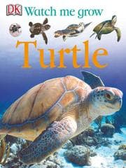 Tapa de Turtle