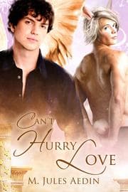 Tapa de Can't Hurry Love