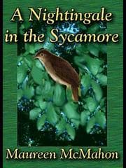 Tapa de A Nightingale in the Sycamore