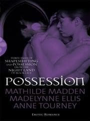 Tapa de Possession