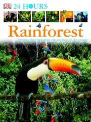 Tapa de Rainforest