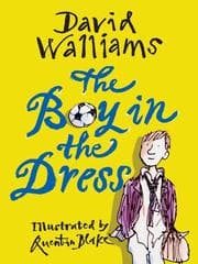 Tapa de The Boy in the Dress