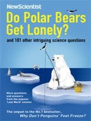 Tapa de Do Polar Bears Get Lonely?