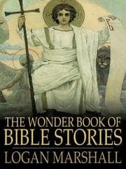 Tapa de The Wonder Book of Bible Stories