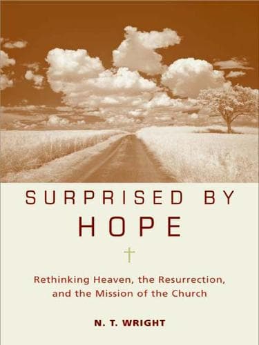Tapa de Surprised by Hope