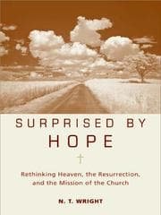 Tapa de Surprised by Hope