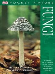 Tapa de Fungi