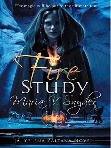 Tapa de Fire Study