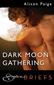 Tapa de Dark Moon Gathering