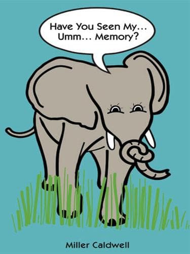 Tapa de Have You Seen My Memory