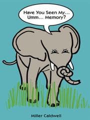 Tapa de Have You Seen My Memory
