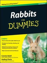 Tapa de Rabbits For Dummies®