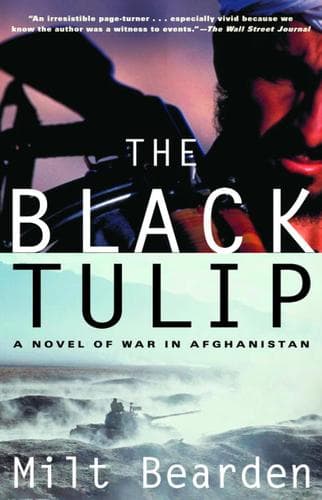 Tapa de The Black Tulip