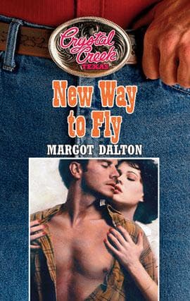 Tapa de New Way to Fly