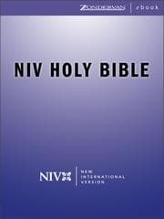 Tapa de NIV Holy Bible