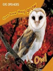 Tapa de Owl