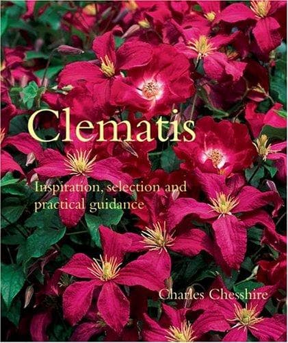 Tapa de Clematis