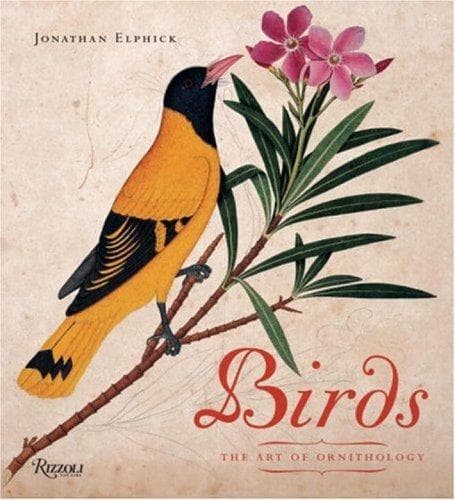 Tapa de Birds