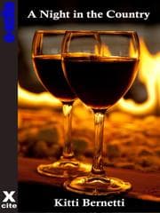 Tapa de A Night in the Country