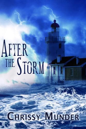 Tapa de After the Storm