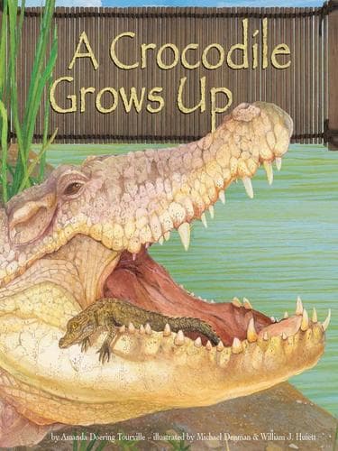 Tapa de A Crocodile Grows Up