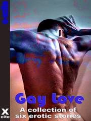 Tapa de Gay Love