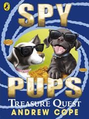 Tapa de Treasure Quest