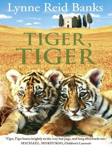 Tapa de Tiger, Tiger