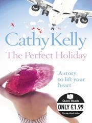 Tapa de The Perfect Holiday