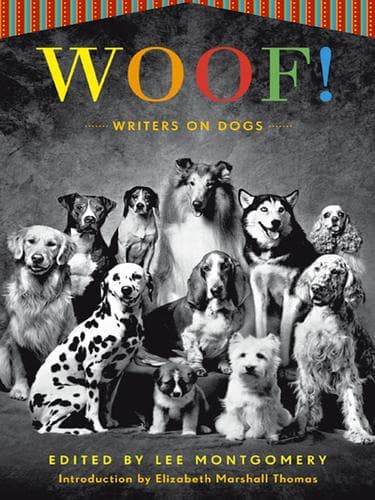Tapa de Woof!