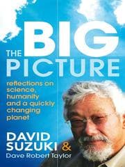 Tapa de The Big Picture