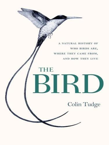 Tapa de The Bird