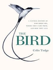 Tapa de The Bird