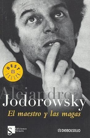 Tapa de El maestro y las magas