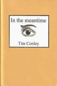 Tapa de In the meantime