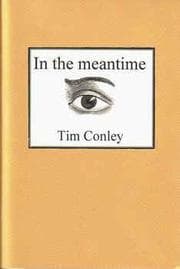 Tapa de In the meantime
