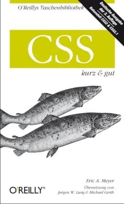 Tapa de CSS