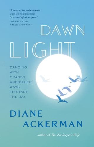 Tapa de Dawn light