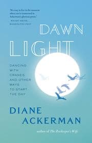 Tapa de Dawn light