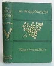 Tapa de The Fern paradise