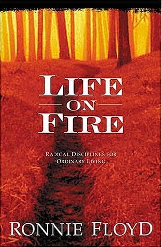 Tapa de Life On Fire