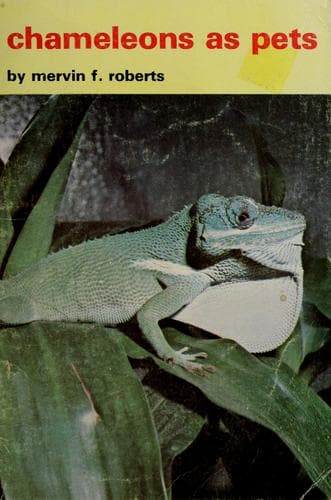 Tapa de Chameleons as pets