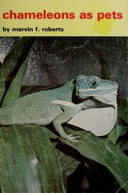 Tapa de Chameleons as pets