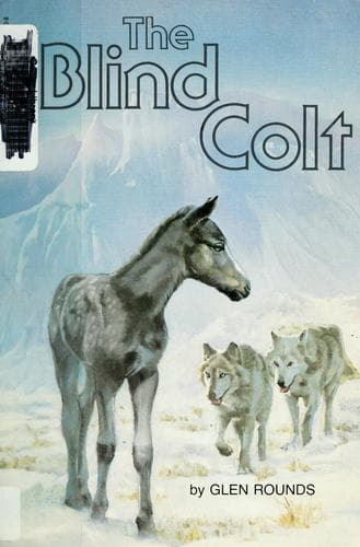 Tapa de The blind colt