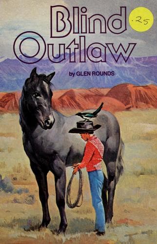 Tapa de Blind outlaw