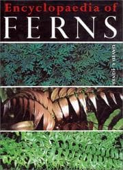 Tapa de Encyclopaedia of Ferns