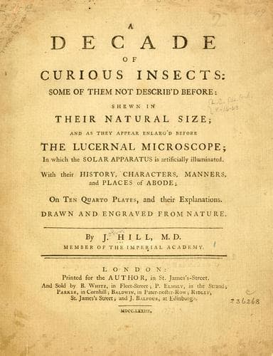 Tapa de A decade of curious insects
