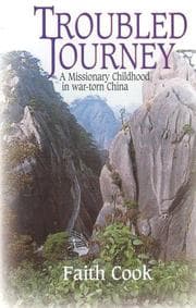 Tapa de Troubled Journey