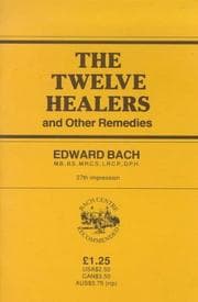 Tapa de The Twelve Healers