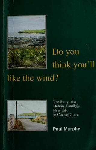 Tapa de Do you think you'll like the wind?